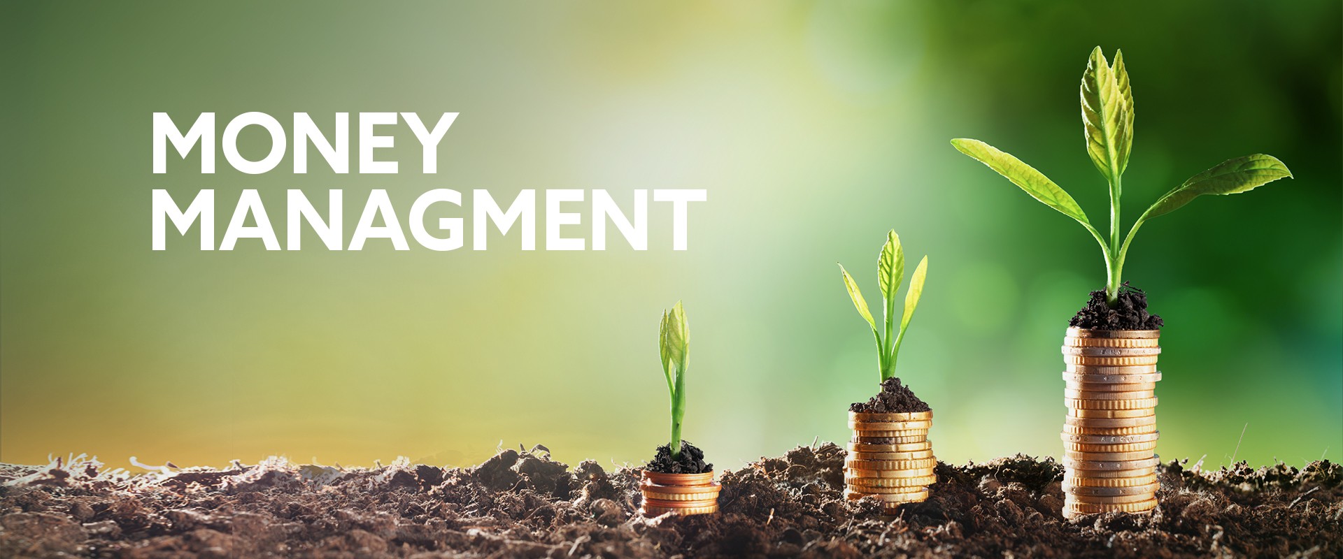 Money Management Scommesse La Base Del Professionismo BetSystem